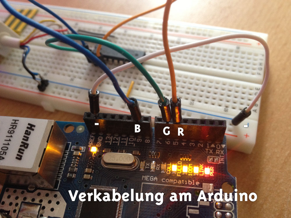 Bild